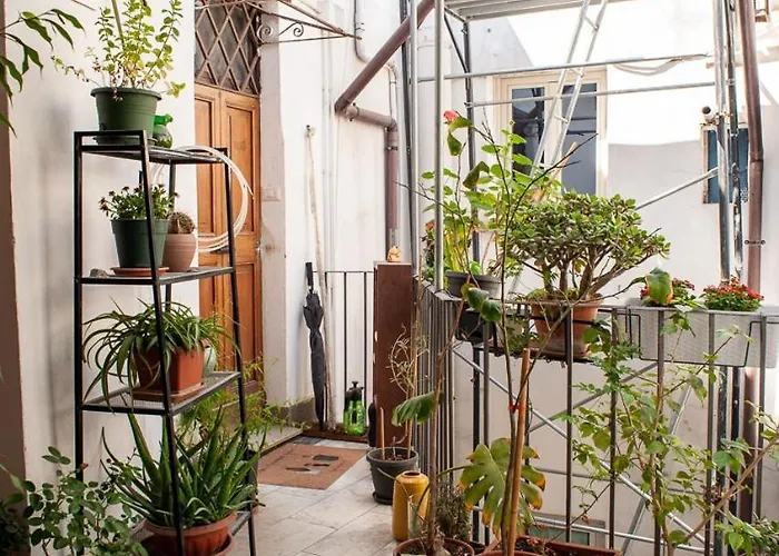 Casa Luce 66 Appartement